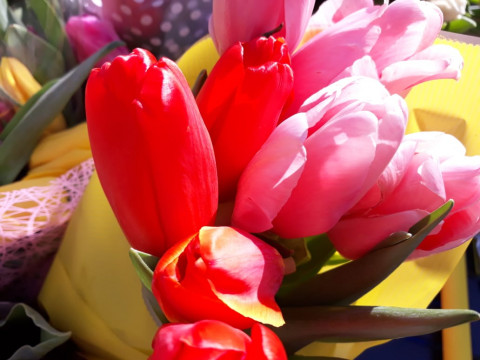 Цветочный ценопад нокаутировал горожан