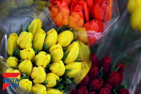 "Боги маркетинга": торговцы цветами веселят горожан