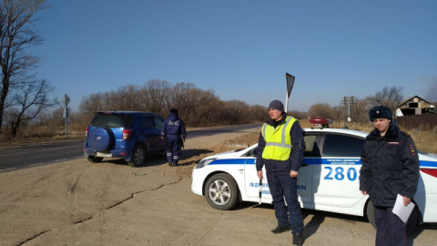 Поджигателей леса задерживает полиция