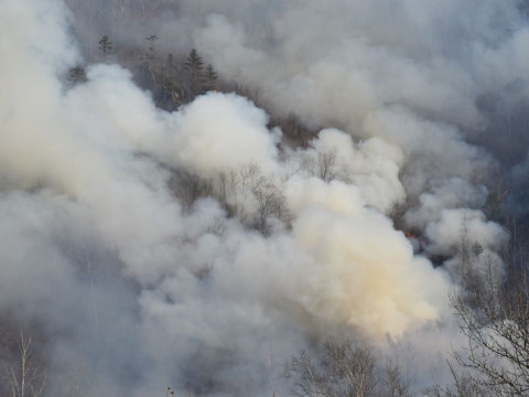 В бой против пожаров пошли добровольцы