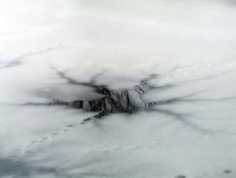 Даже житель Африки станет в России «моржом»