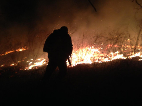 Видео: пожар чуть не уничтожил заповедник