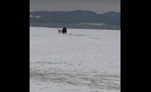 Отчаянный рыбак с собакой попал на видео