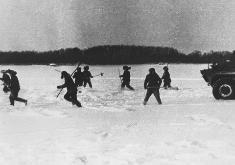 Полвека Даманскому: остров отдали, но ветеранов помним