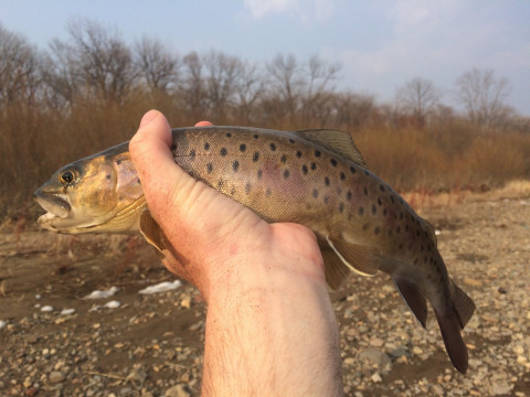 "Здесь рыба есть": где сейчас порыбачить