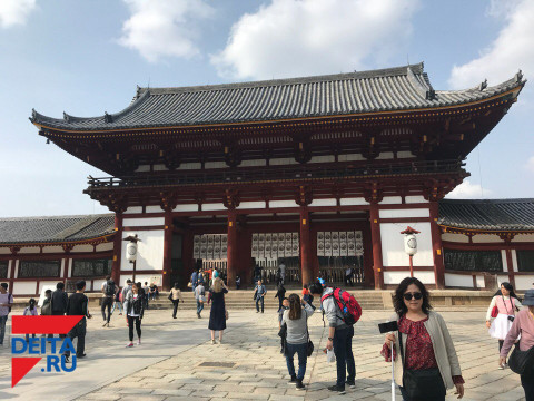 Медведеву проводили в Японию