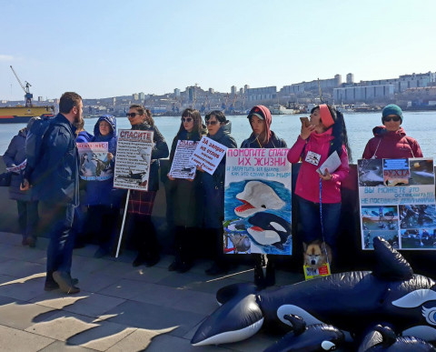 «Вызволить из ада»: приморцы провели пикет