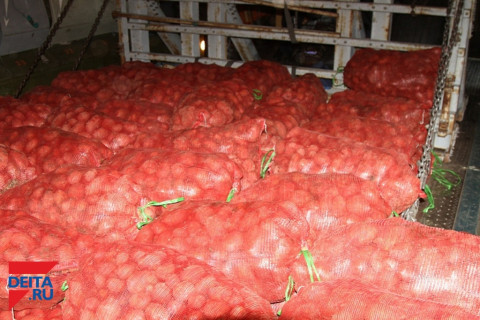 На Крайнем Севере собрались выращивать картошку