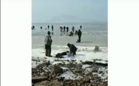 Массовый заплыв: рыбаки спасаются бегством