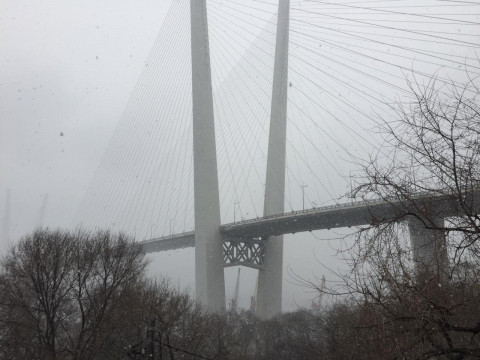 Снег не стал проблемой для Владивостока