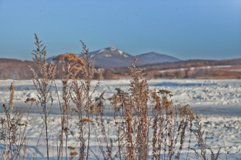Стало ясно, что ждет приморцев на следующей неделе
