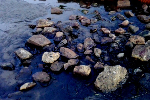 Стали известны подробности розлива нефтепродуктов в Приморье