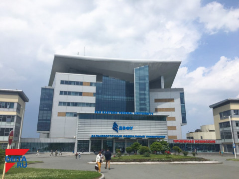 Чиновник из ДВФУ получил срок