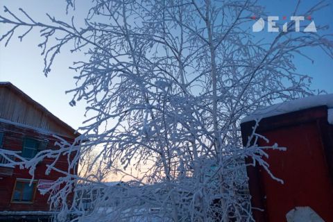 Неглобальное потепление: на Крайнем Севере меняется структура вечной мерзлоты