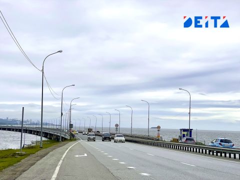 Малолетние дети пострадали в ДТП на низководном мосту через Амурский залив