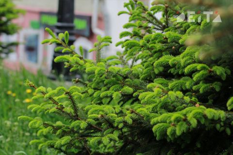 Теперь больше миллиона: выплата многодетным семьям Владивостока значительно выросла