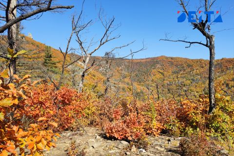 Новая неделя в Приморье начнется с сухой погоды