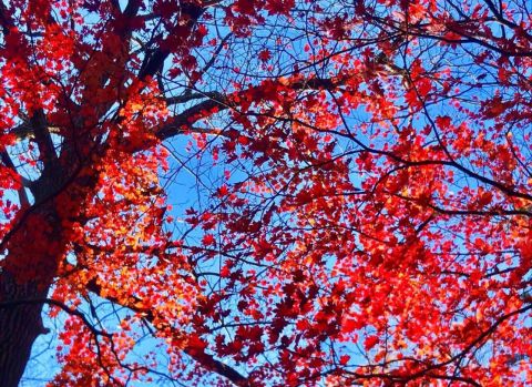 Во Владивостоке ожидаются ясные дни и небольшое потепление