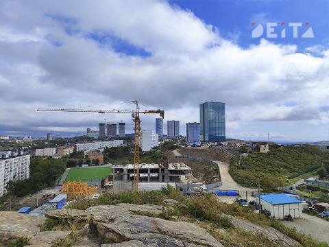 Владивостокцы просят Бастрыкина разобраться с "ампутацией зелёных лёгких" города