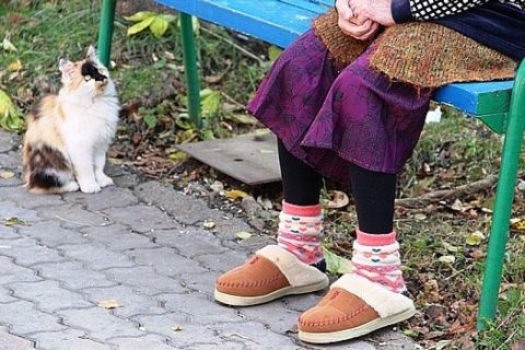 Российских бабушек могут оштрафовать