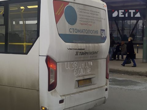 Школьниками, громящими автобусы в Находке, занялись полиция и прокуратура