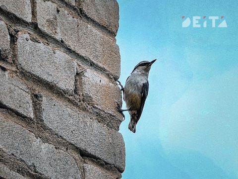 В Приморье установится ясная погода без осадков