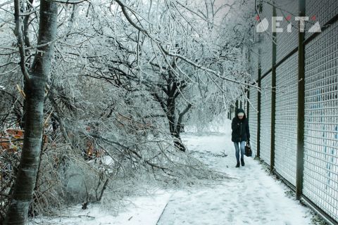 Мэрия Владивостока заплатит компенсацию школьнице, получившей травму на скользком тротуаре