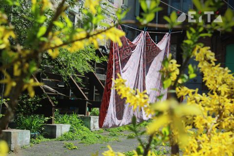 Солнечный и теплый четверг ожидает Приморье