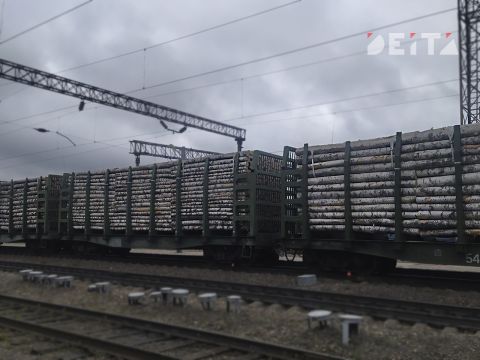 Полицейские Владивостока ловили нарушителей на "народной тропе" через железную дорогу