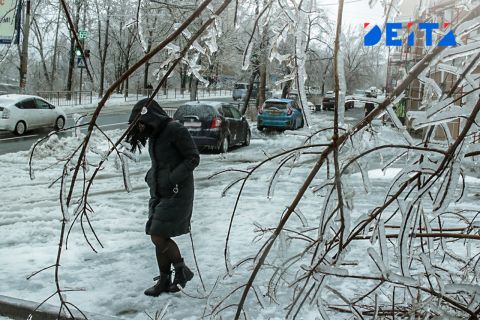 Какая погода ждёт приморцев в понедельник