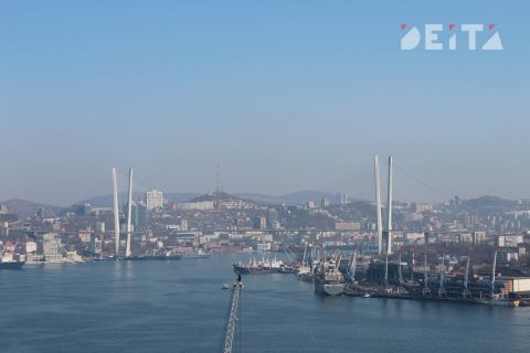 Нулевой налог приняли в Приморье