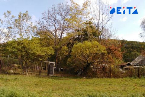 В Приморье ввели единые нормы для бесплатного получения земли