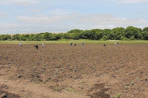 В Приморье закрепили новый порядок перевода сельхозземель в другую категорию