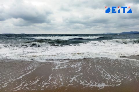 Полиция признала "верёвочников" под Находкой честными предпринимателями