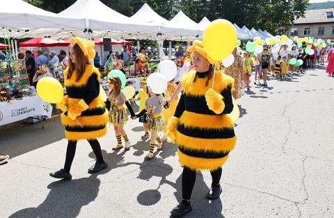 Юбилейный фестиваль мёда прошел в Приморье