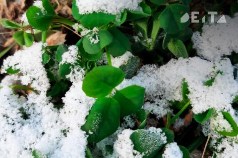 Новая неделя в Приморье начнется со снега
