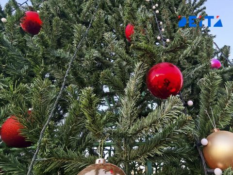 Акт вандализма в новогоднем городке на городской площади расследует полиция Приморья