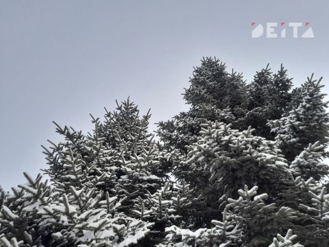 В Приморье в среду сохранится морозная погода с небольшим снегом