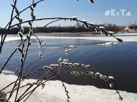 В последние выходные марта Приморье встретит дождями и перепадами температуры