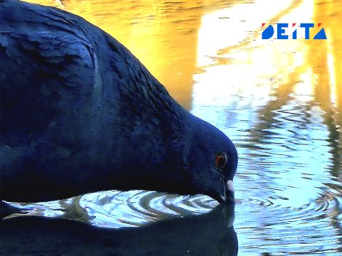 Сухая погода ожидается в Приморье, но не везде