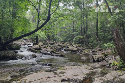 Россиян хотят поощрять за экологическую сознательность