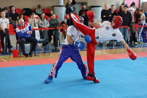 Бой человекоподобных роботов провели во Владивостоке