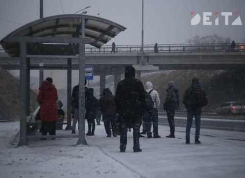 Утренние автобусы во Владивостоке задержались из-за проверки ГАИ