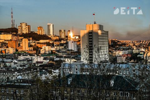 Новых председателей комитетов выбрали в Заксобрании Приморья