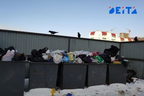 "Это просто разгильдяйство": ситуацию с вывозом мусора на Камчатке оценил Трутнев