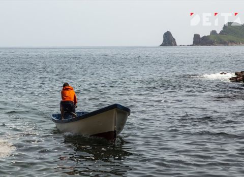 Мёртвого тигра выловили в море у берегов Большого Камня