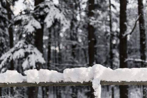 В Приморье в конце недели усилятся осадки