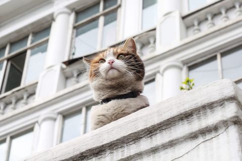 Новый штраф ввели для приморцев