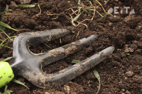 Уборки улицы добились владивостокцы от коммунальщиков с помощью капусты