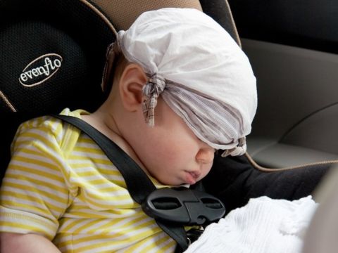 В России могут ввести туристический кешбэк для особых категорий семей